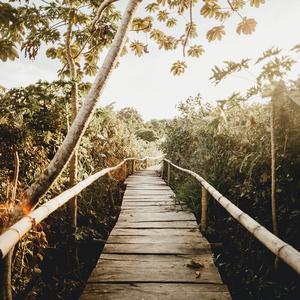 黄色A片岛国视频网线
