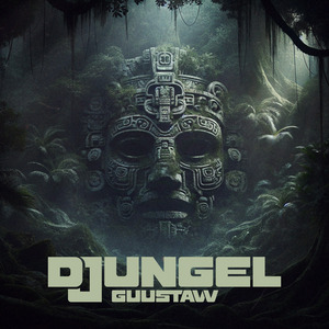 黄色A片岛国视频网线
