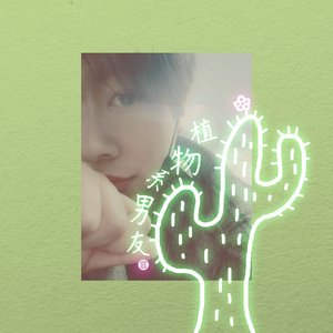 黄色A片岛国视频网线
