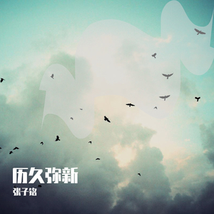 黄色A片岛国视频网线
